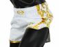 Preview: Fairtex Muay Thai Shorts Glory weiß BSG2